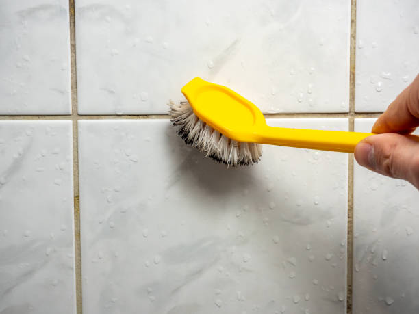 Best Same-Day Mold Removal  in Murraysville, NC