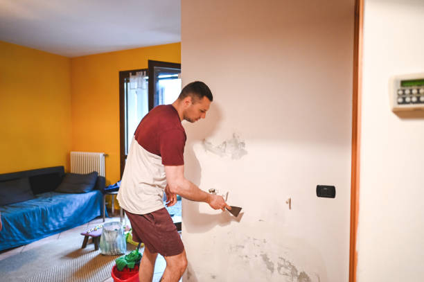 Best Mold Remediation  in Murraysville, NC