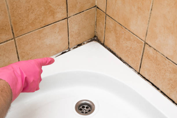 Best Residential Mold Removal  in Murraysville, NC